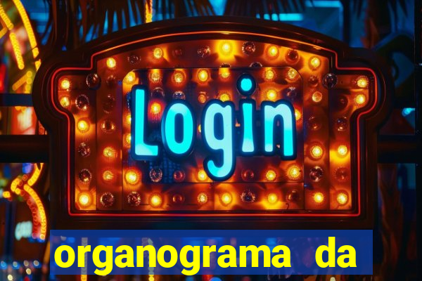 organograma da cacau show